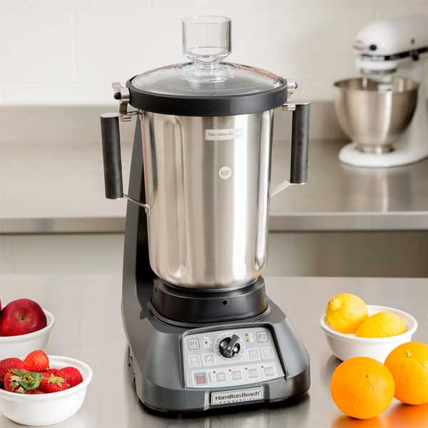 Food Blender with Stainless Steel Container | Buyhoreca