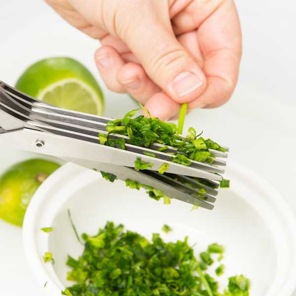 5-Blade Herb Shears with Blade Guard