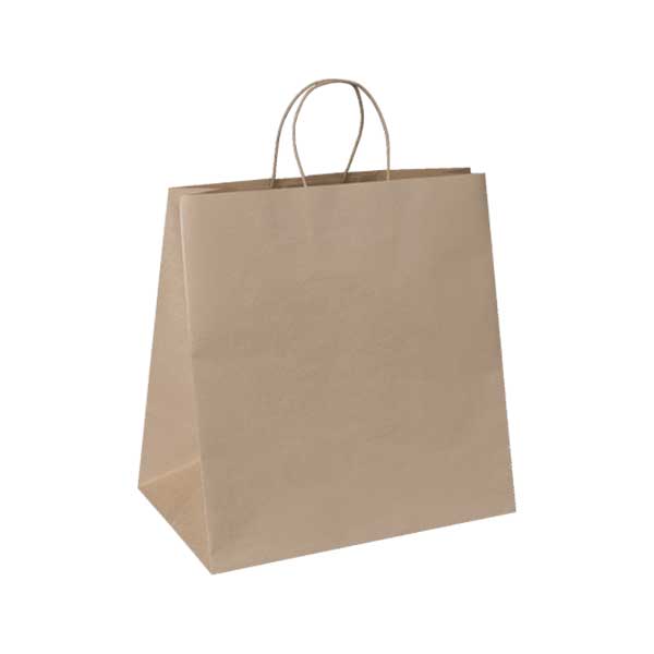 PTH Bags - Large ( Case of 200 )