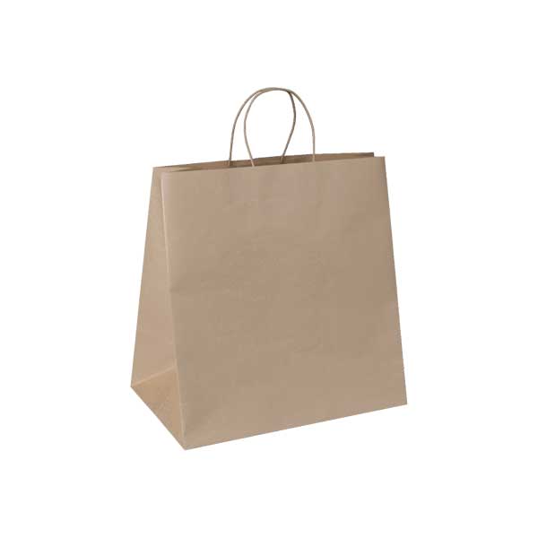 PTH Bags - Small ( Case of 500 )