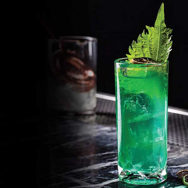 Tumbler Glass | Buyhoreca Dubai