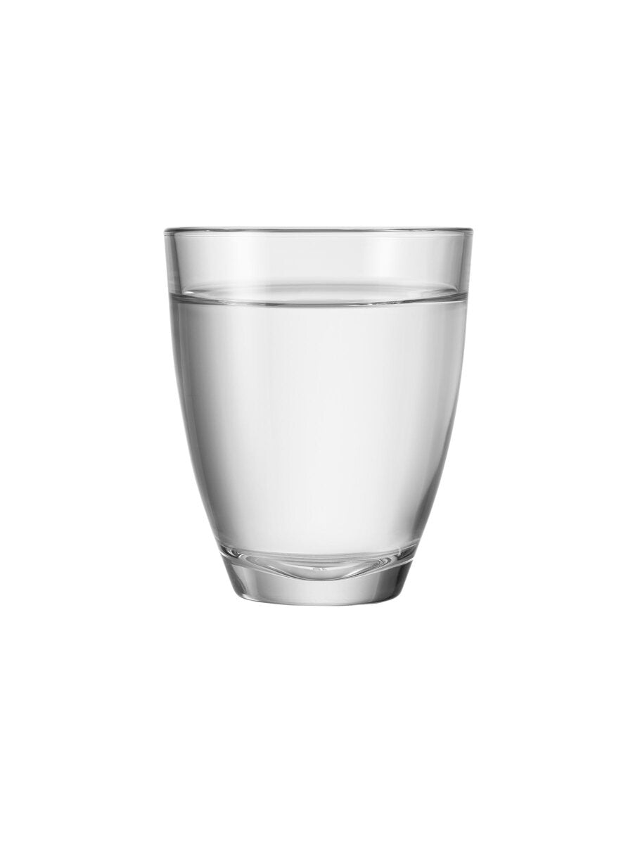 Alpi Tumbler Glass 220ml - Borgonovo