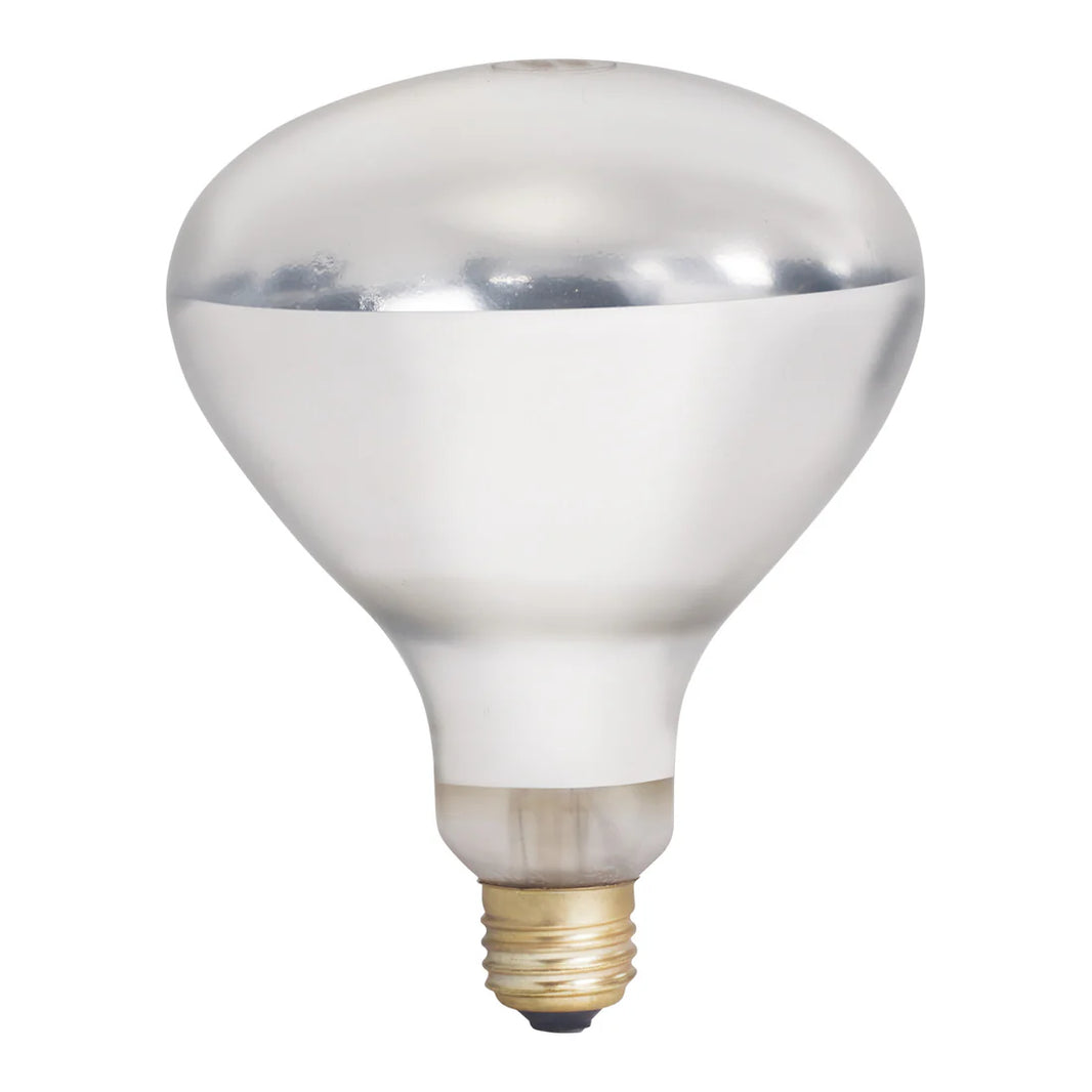 Shatter-Resistant Bulb, 250W, Clear