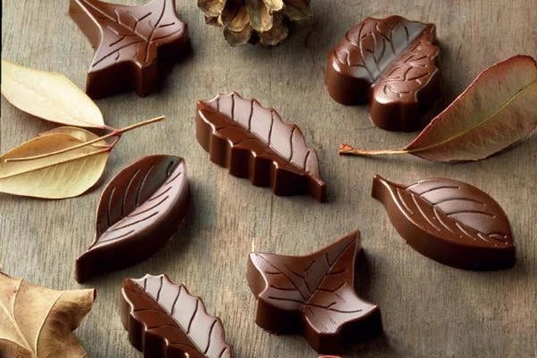 NATURE SILICONE CHOCOLATE CANDY MOULD, 8 CUP